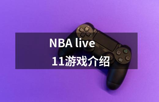 NBA live 11游戏介绍-第1张-游戏信息-龙启网