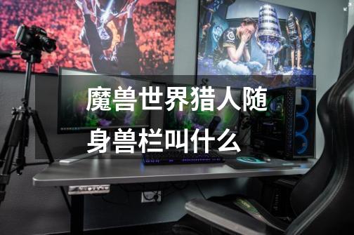 魔兽世界猎人随身兽栏叫什么-第1张-游戏信息-龙启网