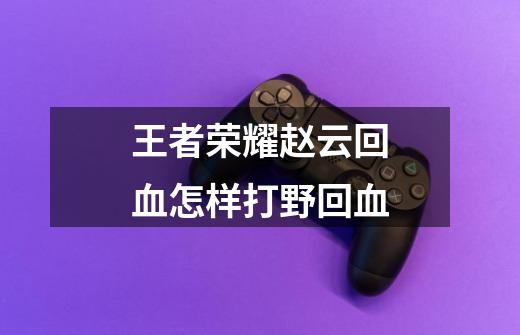 王者荣耀赵云回血怎样打野回血-第1张-游戏信息-龙启网