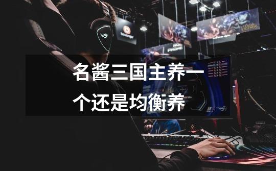 名酱三国主养一个还是均衡养-第1张-游戏信息-龙启网