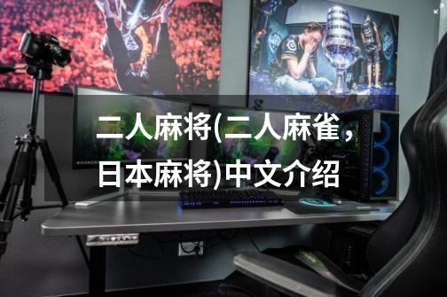 二人麻将(二人麻雀，日本麻将)中文介绍-第1张-游戏信息-龙启网
