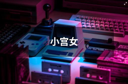 小宫女-第1张-游戏信息-龙启网