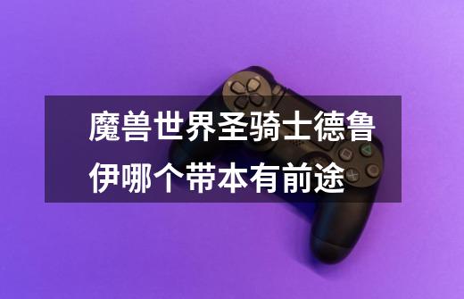 魔兽世界圣骑士德鲁伊哪个带本有前途-第1张-游戏信息-龙启网