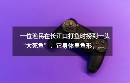 一位渔民在长江口打鱼时捞到一头“大死鱼”.它身体呈鱼形,体长3米,背呈浅蓝色,头部有一吻,上下颌有_死鱼正口的科学解释-第1张-游戏信息-龙启网