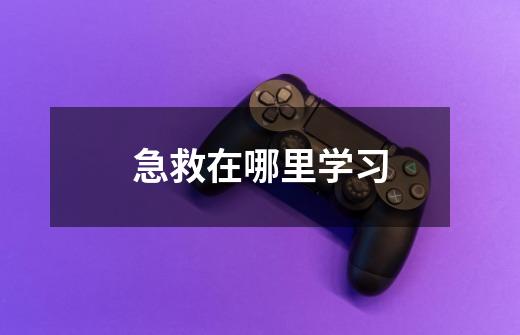 急救在哪里学习-第1张-游戏信息-龙启网