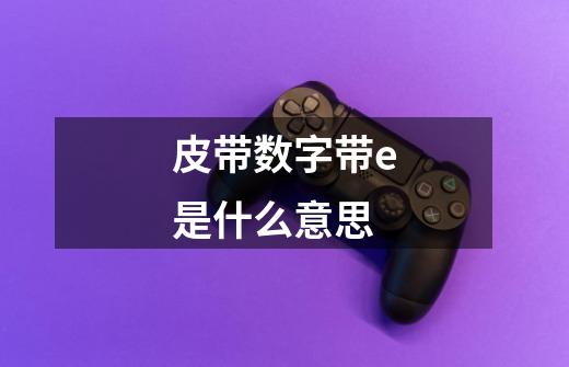 皮带数字带e是什么意思-第1张-游戏信息-龙启网