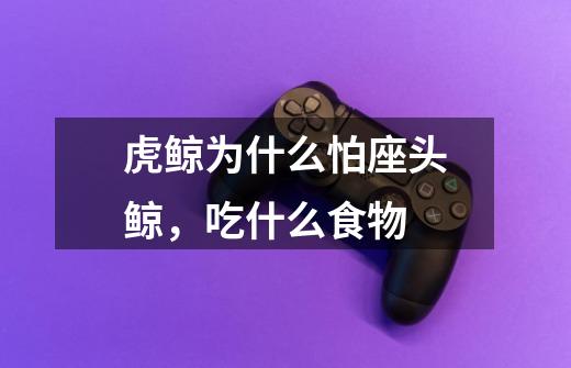 虎鲸为什么怕座头鲸,吃什么食物-第1张-游戏信息-龙启网