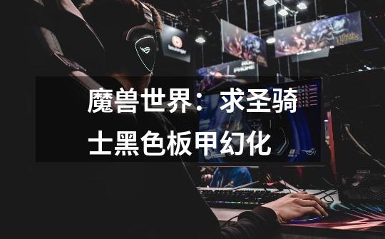 魔兽世界:求圣骑士黑色板甲幻化-第1张-游戏信息-龙启网