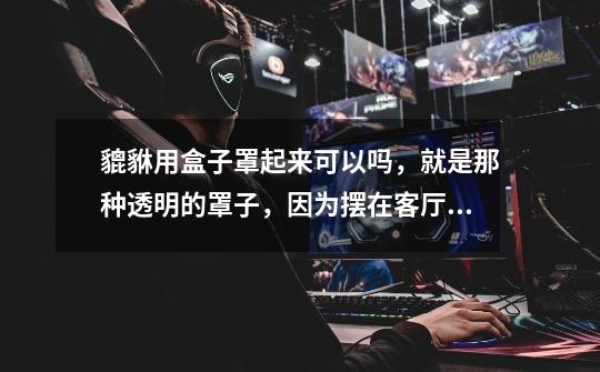 貔貅用盒子罩起来可以吗,就是那种透明的罩子,因为摆在客厅里来客人了想去摸。。。大家来说说自己的看法-第1张-游戏信息-龙启网