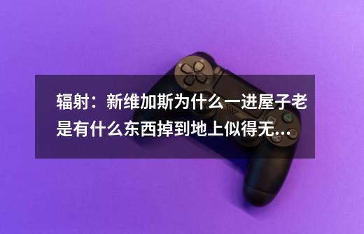辐射：新维加斯为什么一进屋子老是有什么东西掉到地上似得无限响-第1张-游戏信息-龙启网