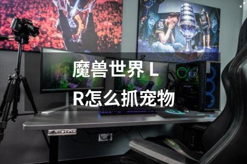 魔兽世界 LR怎么抓宠物-第1张-游戏信息-龙启网