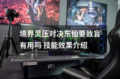 境界灵压对决东仙要致盲有用吗 技能效果介绍-第1张-游戏信息-龙启网