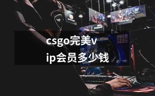 csgo完美vip会员多少钱-第1张-游戏信息-龙启网