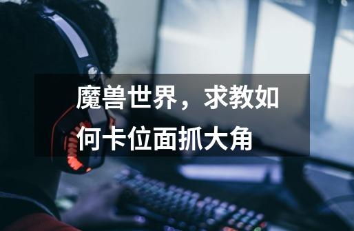魔兽世界,求教如何卡位面抓大角-第1张-游戏信息-龙启网