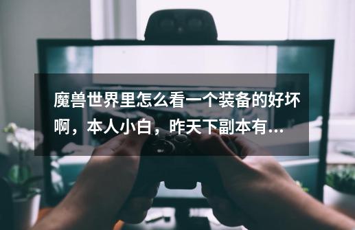魔兽世界里怎么看一个装备的好坏啊,本人小白,昨天下副本有一个法师说我的装备都是垃圾,不明白怎么看-第1张-游戏信息-龙启网
