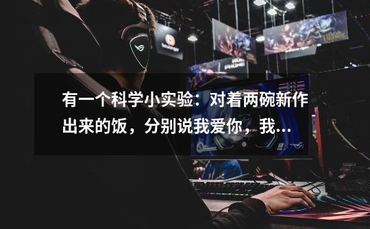 有一个科学小实验:对着两碗新作出来的饭,分别说我爱你,我恨你,然后封存,有一碗会先坏,为什么-第1张-游戏信息-龙启网
