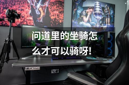问道里的坐骑怎么才可以骑呀!-第1张-游戏信息-龙启网