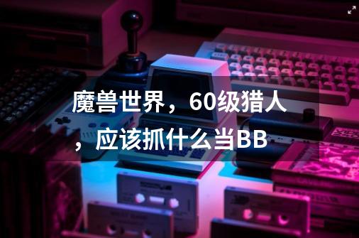 魔兽世界,60级猎人,应该抓什么当BB-第1张-游戏信息-龙启网
