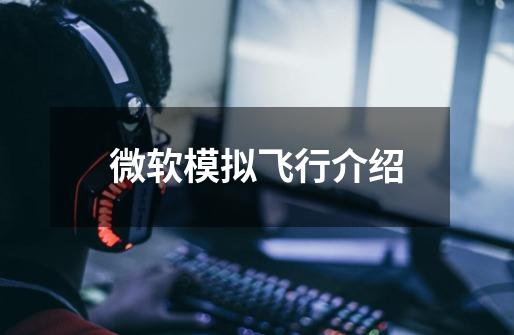 微软模拟飞行介绍-第1张-游戏信息-龙启网