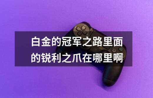 白金的冠军之路里面的锐利之爪在哪里啊-第1张-游戏信息-龙启网