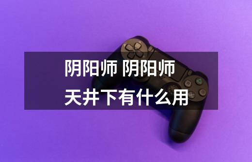 阴阳师 阴阳师天井下有什么用-第1张-游戏信息-龙启网