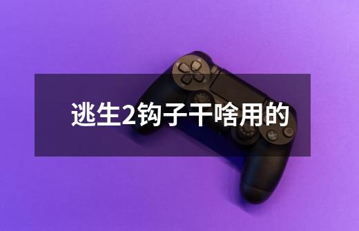 逃生2钩子干啥用的-第1张-游戏信息-龙启网