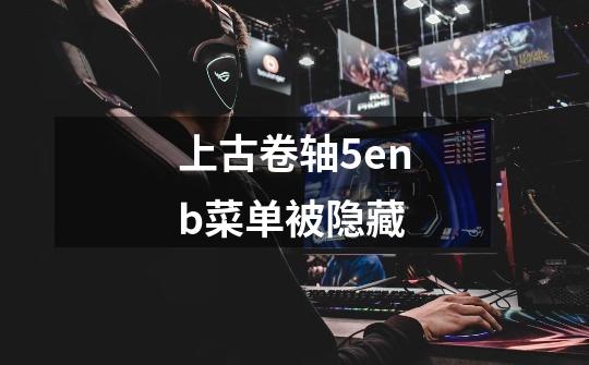 上古卷轴5enb菜单被隐藏-第1张-游戏信息-龙启网