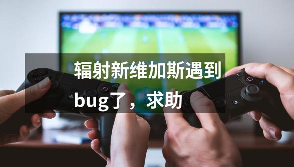 辐射新维加斯遇到bug了,求助-第1张-游戏信息-龙启网