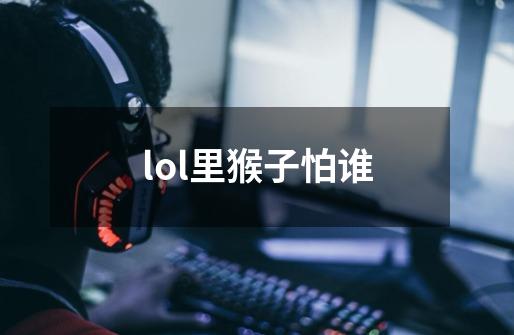 lol里猴子怕谁-第1张-游戏信息-龙启网