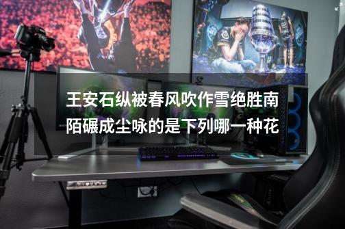 王安石纵被春风吹作雪绝胜南陌碾成尘咏的是下列哪一种花-第1张-游戏信息-龙启网
