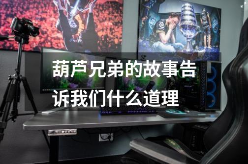 葫芦兄弟的故事告诉我们什么道理-第1张-游戏信息-龙启网