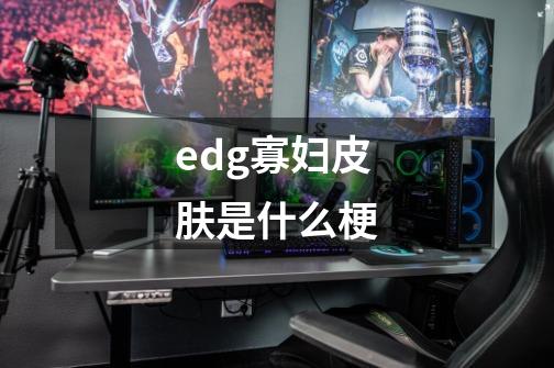 edg寡妇皮肤是什么梗-第1张-游戏信息-龙启网