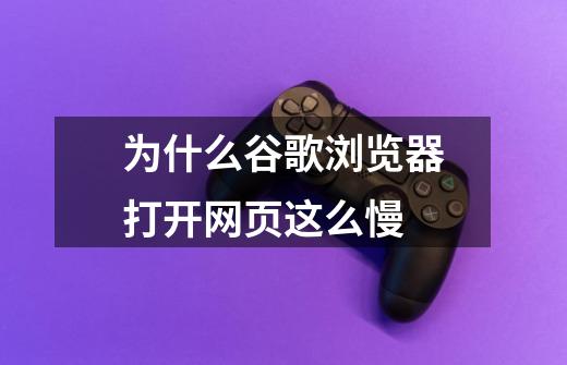 为什么谷歌浏览器打开网页这么慢-第1张-游戏信息-龙启网