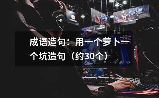 成语造句:用一个萝卜一个坑造句(约30个)-第1张-游戏信息-龙启网