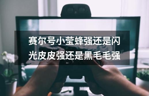 赛尔号小莹蜂强还是闪光皮皮强还是黑毛毛强-第1张-游戏信息-龙启网