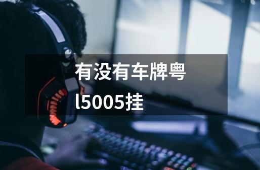 有没有车牌粤l5005挂-第1张-游戏信息-龙启网