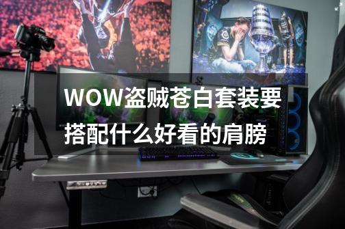WOW盗贼苍白套装要搭配什么好看的肩膀-第1张-游戏信息-龙启网