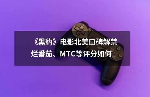 《黑豹》电影北美口碑解禁 烂番茄、MTC等评分如何-第1张-游戏信息-龙启网