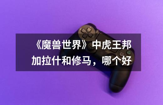 《魔兽世界》中虎王邦加拉什和修马,哪个好-第1张-游戏信息-龙启网