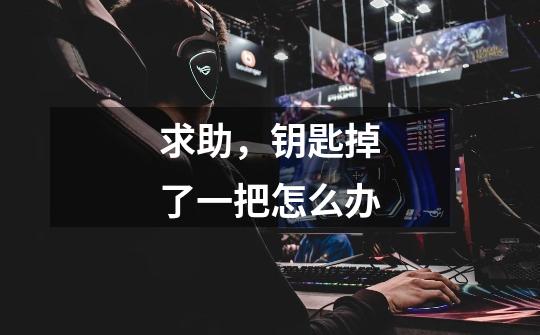 求助,钥匙掉了一把怎么办-第1张-游戏信息-龙启网