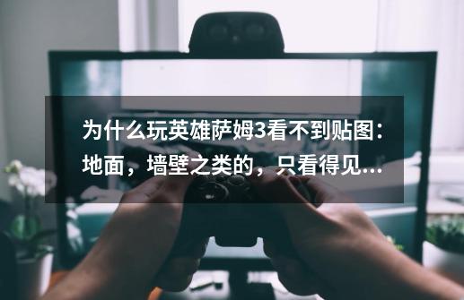 为什么玩英雄萨姆3看不到贴图：地面，墙壁之类的，只看得见掩体-第1张-游戏信息-龙启网