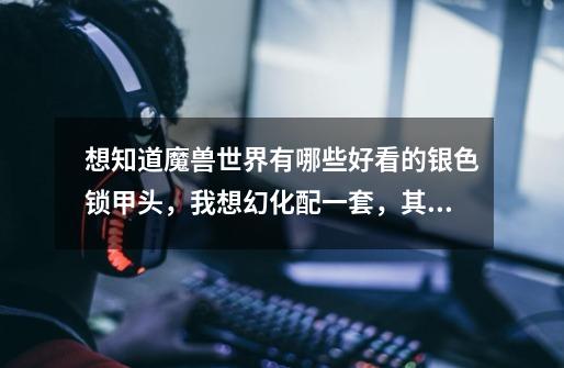 想知道魔兽世界有哪些好看的银色锁甲头，我想幻化配一套，其他部位用的是神圣锁甲-第1张-游戏信息-龙启网
