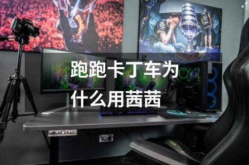 跑跑卡丁车为什么用茜茜-第1张-游戏信息-龙启网
