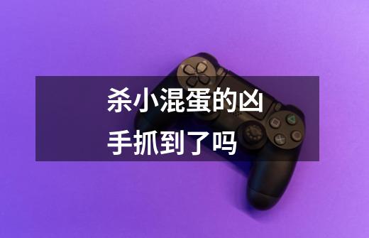 杀小混蛋的凶手抓到了吗-第1张-游戏信息-龙启网