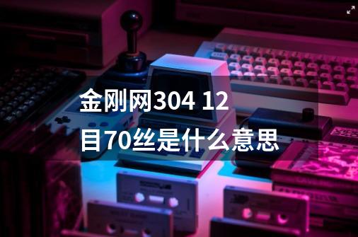 金刚网304 12目70丝是什么意思-第1张-游戏信息-龙启网
