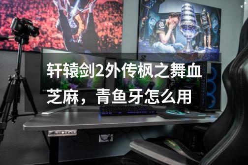 轩辕剑2外传枫之舞血芝麻,青鱼牙怎么用-第1张-游戏信息-龙启网