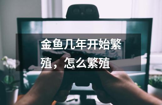 金鱼几年开始繁殖,怎么繁殖-第1张-游戏信息-龙启网
