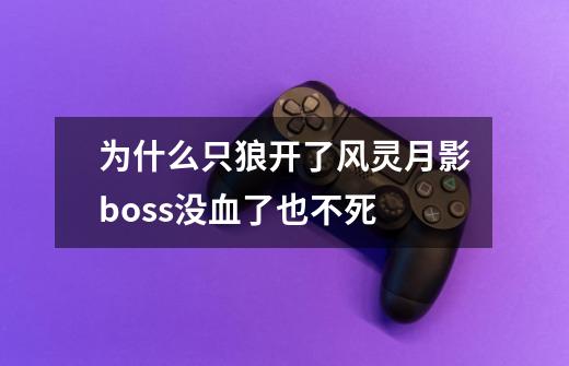 为什么只狼开了风灵月影boss没血了也不死-第1张-游戏信息-龙启网