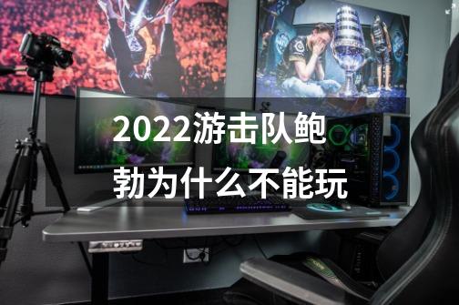 2022游击队鲍勃为什么不能玩-第1张-游戏信息-龙启网
