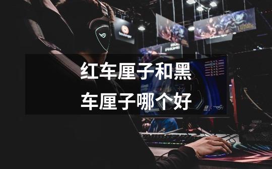 红车厘子和黑车厘子哪个好-第1张-游戏信息-龙启网